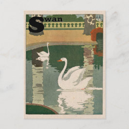White Swan Alphabet Briefkaart