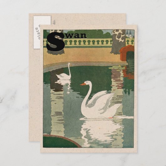 White Swan Alphabet Briefkaart (Voorkant / Achterkant)