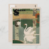 White Swan Alphabet Briefkaart (Voorkant / Achterkant)
