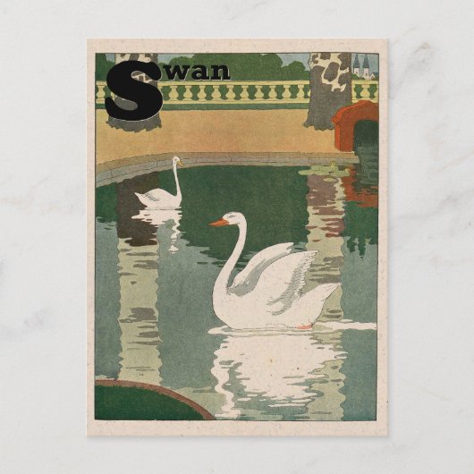 White Swan Alphabet Briefkaart (Voorkant)