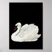 White Swan  Art Poster (Voorkant)