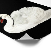 White Swan  Art Poster (Hoek)