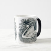  White Swan beroemd gemaakt door Thomas Bewick Magische Mok (Voorkant rechts)