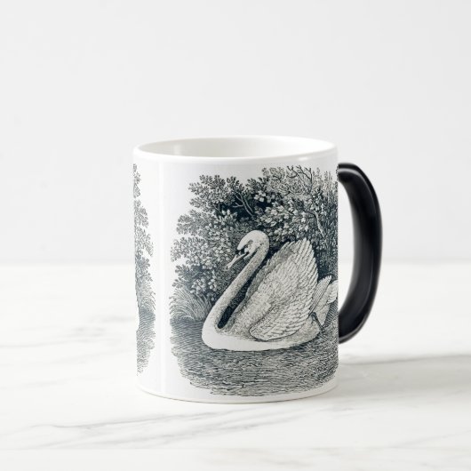  White Swan beroemd gemaakt door Thomas Bewick Magische Mok (Voorkant rechts)