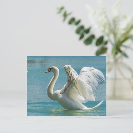 White Swan Briefkaart (Staand voorkant)