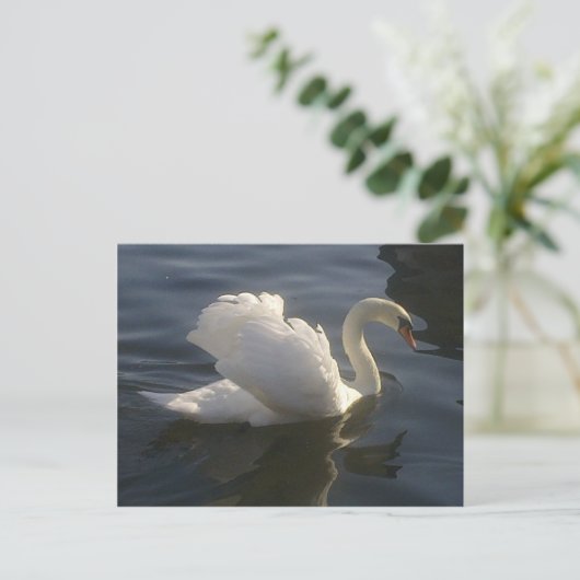White Swan Briefkaart (Staand voorkant)