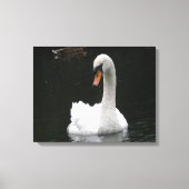White Swan Canvas afdrukken (Voorkant)