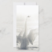 White Swan Card (Voorkant)