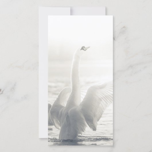 White Swan Card (Voorkant)