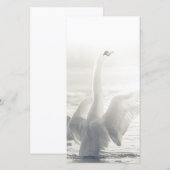 White Swan Card (Voorkant / Achterkant)