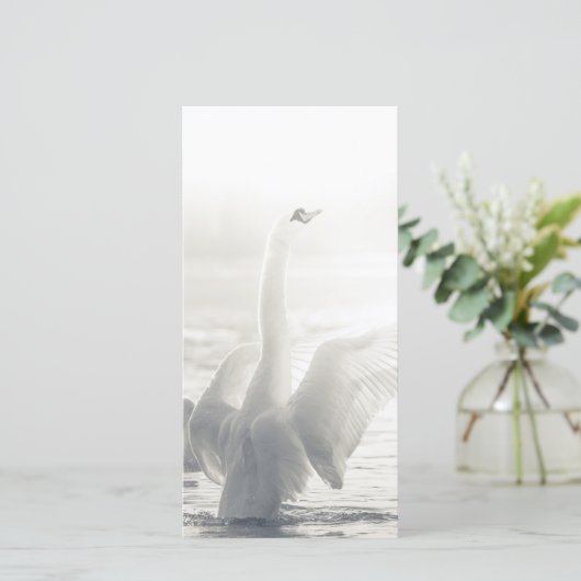 White Swan Card (Staand voorkant)