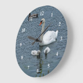 White Swan Cygnets Water Foto Grote Klok (Hoek)