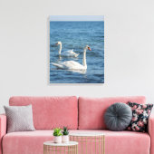 White swan Cygnus Canvas Afdruk (Insitu (Woonkamer))