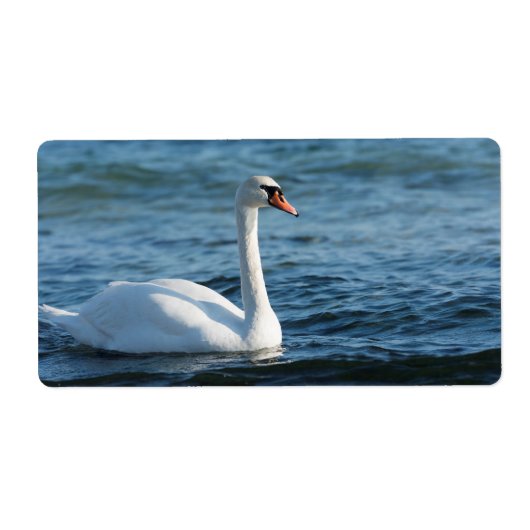 White swan Cygnus Etiket (Voorkant)