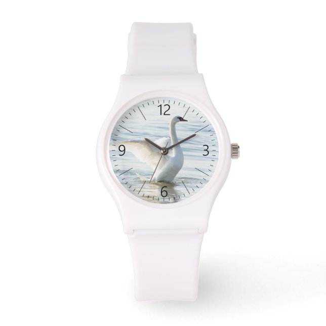 White swan Cygnus Horloge (Voorkant)