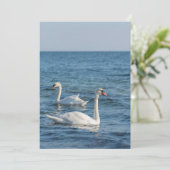 White swan Cygnus Kaart (Staand voorkant)