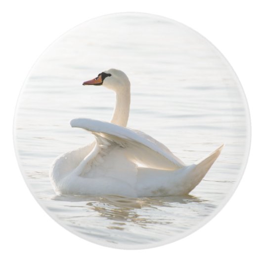 White swan Cygnus Keramische Knop (Voorkant)