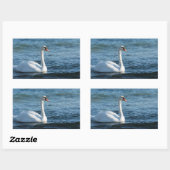 White swan Cygnus Rechthoekige Sticker (Vel)
