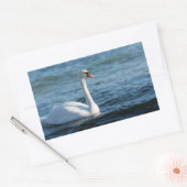 White swan Cygnus Rechthoekige Sticker (Envelop)
