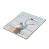 White swan Cygnus Tegeltje (Zijkant)