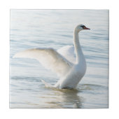 White swan Cygnus Tegeltje (Voorkant)