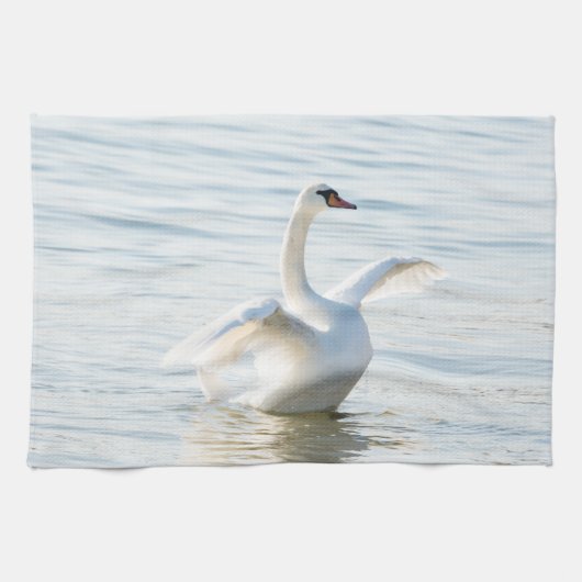 White swan Cygnus Theedoek (Horizontaal)