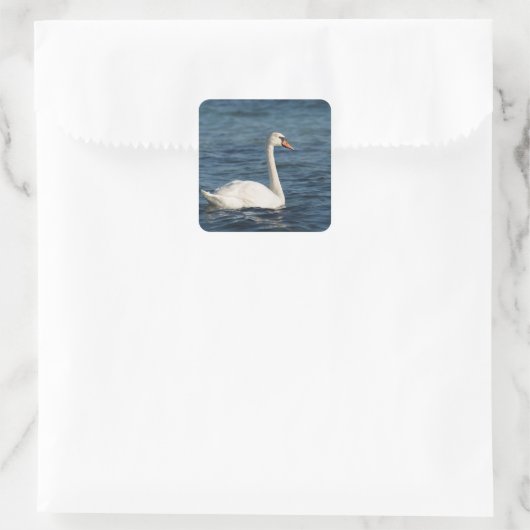 White swan Cygnus Vierkante Sticker (Tas)