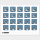 White swan Cygnus Vierkante Sticker (Vel)