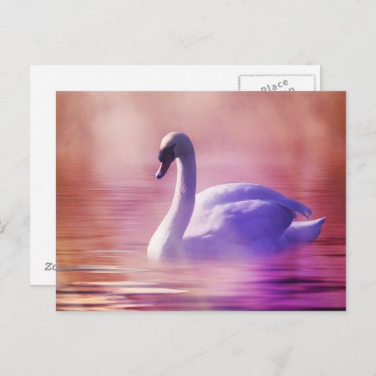 White Swan drijft op een slecht meer Briefkaart (Voorkant / Achterkant)