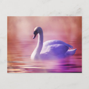 White Swan drijft op een slecht meer Briefkaart