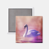 White Swan drijft op een slecht meer Magneet (Voorkant / Achterkant)