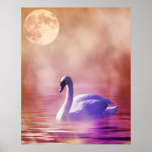 White Swan drijft op een slecht meer Poster (Voorkant)