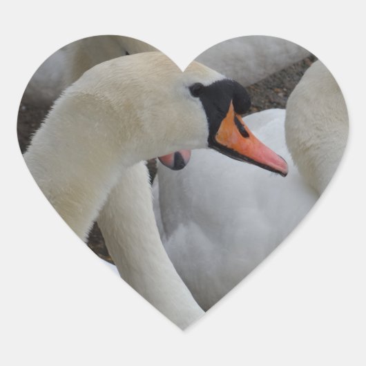 White Swan Heart Sticker (Voorkant)