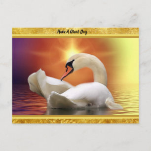 White Swan in een meer met een oranje goudzonsonde Briefkaart