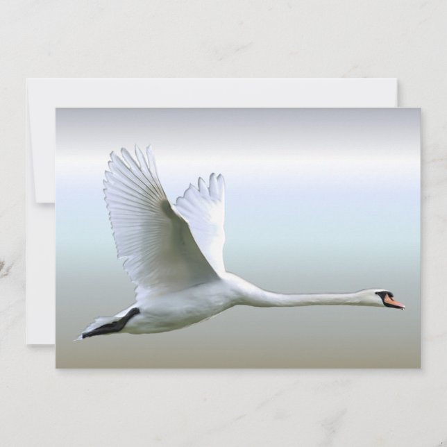 White Swan in Full Flight (Voorkant)