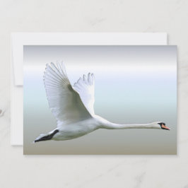 White Swan in Full Flight