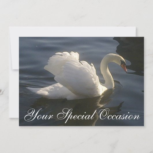White Swan Invitation Kaart (Voorkant)
