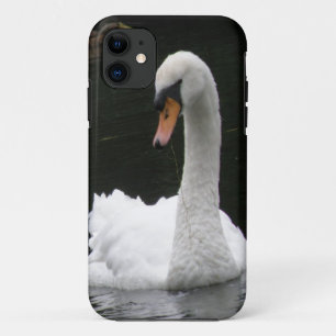 White Swan iPhone Case