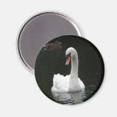 White Swan Magnet (Voorkant / Achterkant)