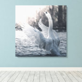 White Swan Natuur Foto Canvas Afdruk (Insitu (Houten vloer))