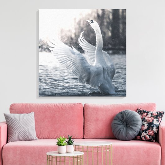 White Swan Natuur Foto Canvas Afdruk (Insitu (Woonkamer))