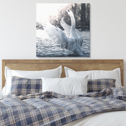 White Swan Natuur Foto Canvas Afdruk (Insitu (Slaapkamer))