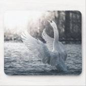 White Swan Natuur Foto Muismat (Voorkant)