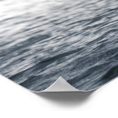 White Swan Natuur Foto Poster (Hoek)