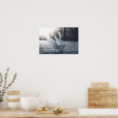 White Swan Natuur Foto Poster (Keuken)