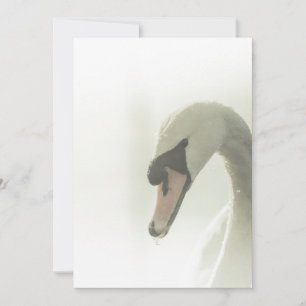 White Swan Natuur Photo Card Save The Date