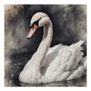 White Swan no 67 Glanzend Poster