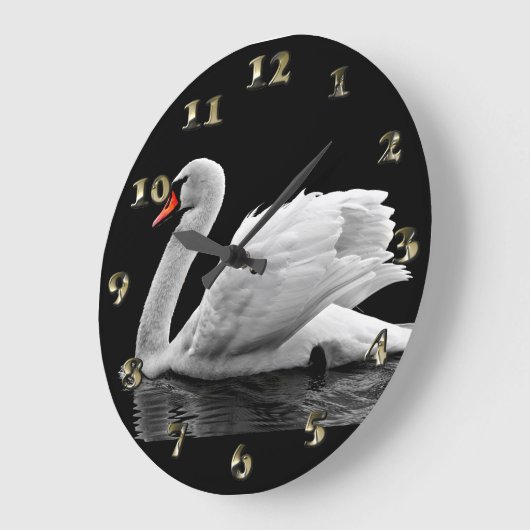 White Swan op Lake Grote Klok (Hoek)