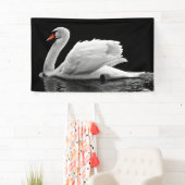 White Swan op Lake Spandoek (Insitu)