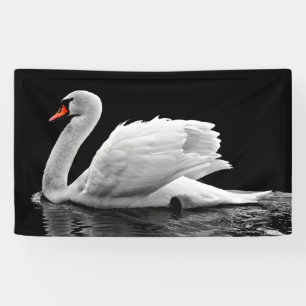 White Swan op Lake Spandoek